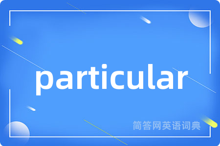 particular是什么意思,particular的中文翻译 particular