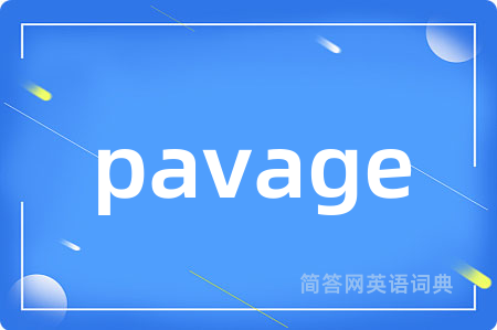 pavage是什么意思,pavage的中文翻译 pavage