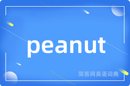 peanut是什么意思,peanut的中文翻译 peanut