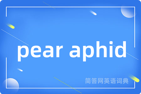 pear aphid是什么意思,pear aphid的中文翻译 pear aphid