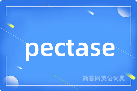 pectase是什么意思,pectase的中文翻译 pectase