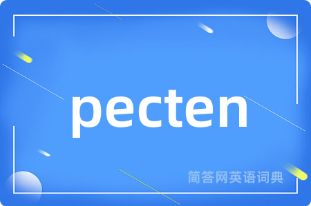 pecten
