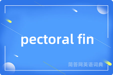 pectoral fin是什么意思,pectoral fin的中文翻译 pectoral fin