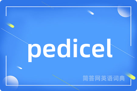 pedicel是什么意思,pedicel的中文翻译 pedicel