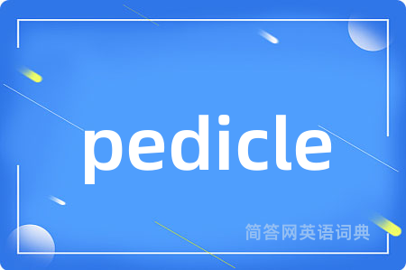 pedicle