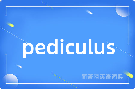 pediculus