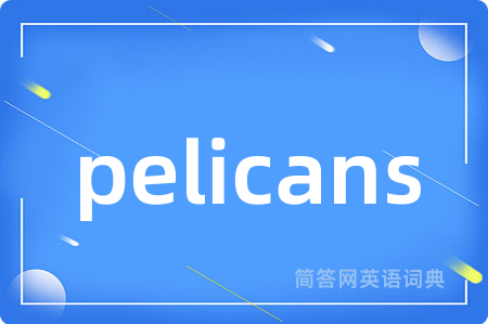 pelicans是什么意思,pelicans的中文翻译 pelicans