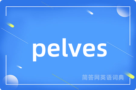 pelves是什么意思,pelves的中文翻译 pelves