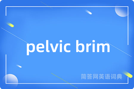 pelvic brim是什么意思,pelvic brim的中文翻译 pelvic brim