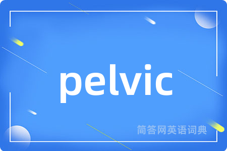 pelvic