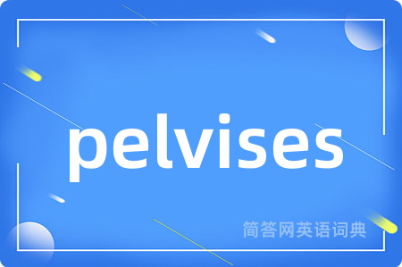 pelvises是什么意思,pelvises的中文翻译 pelvises