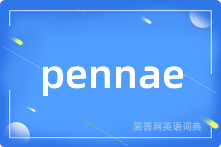 pennae是什么意思,pennae的中文翻译 pennae