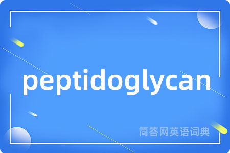 peptidoglycan