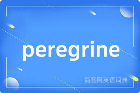 peregrine