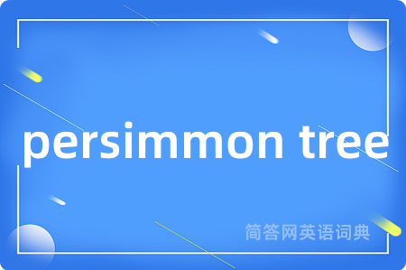 persimmon tree
