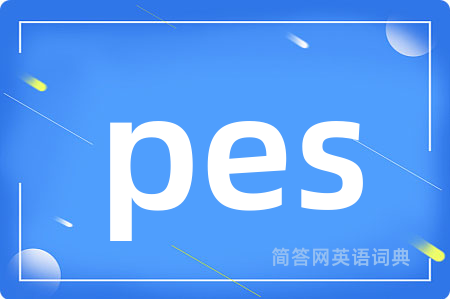 pes是什么意思,pes的中文翻译 pes