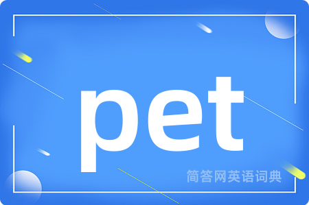pet是什么意思,pet的中文翻译 pet