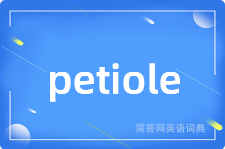 petiole