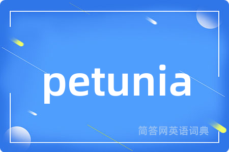 petunia是什么意思,petunia的中文翻译 petunia