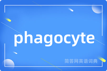 phagocyte