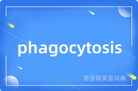 phagocytosis