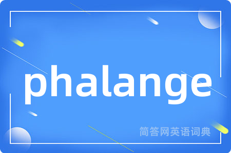 phalange