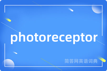 photoreceptor