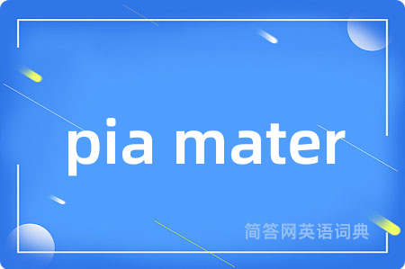 pia mater