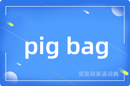 pig bag是什么意思,pig bag的中文翻译 pig bag