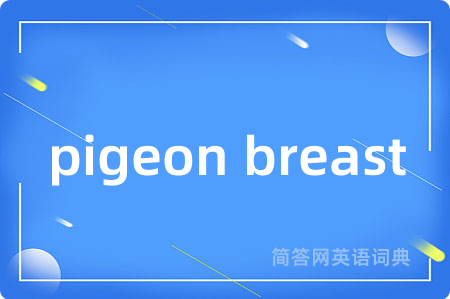 pigeon breast