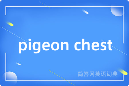 pigeon chest是什么意思,pigeon chest的中文翻译 pigeon chest