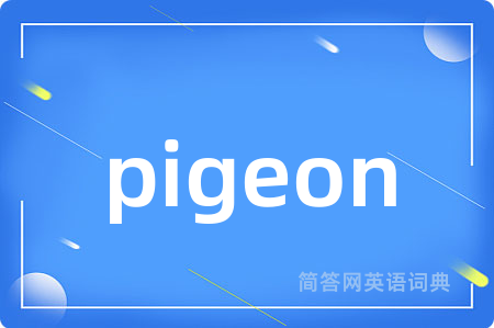 pigeon是什么意思,pigeon的中文翻译 pigeon