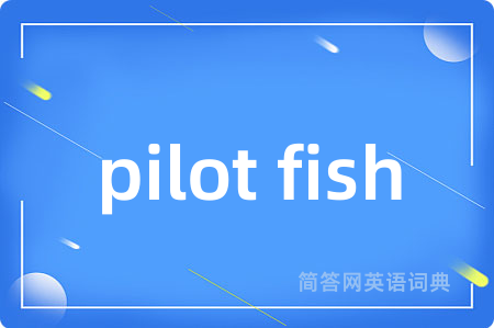 pilot fish是什么意思,pilot fish的中文翻译 pilot fish