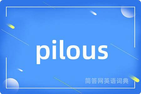 pilous是什么意思,pilous的中文翻译 pilous