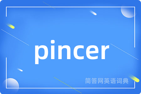 pincer是什么意思,pincer的中文翻译 pincer
