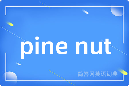 pine nut是什么意思,pine nut的中文翻译 pine nut