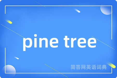 pine tree是什么意思,pine tree的中文翻译 pine tree