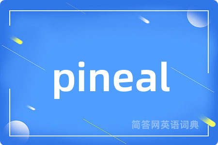 pineal