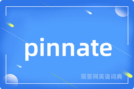 pinnate是什么意思,pinnate的中文翻译 pinnate