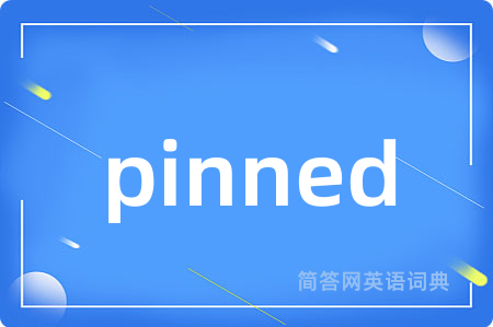 pinned是什么意思,pinned的中文翻译 pinned