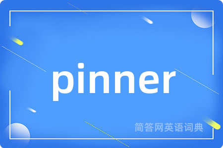 pinner是什么意思,pinner的中文翻译 pinner