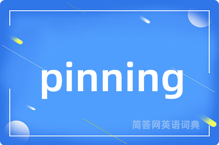 pinning是什么意思,pinning的中文翻译 pinning