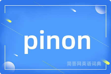 pinon是什么意思,pinon的中文翻译 pinon