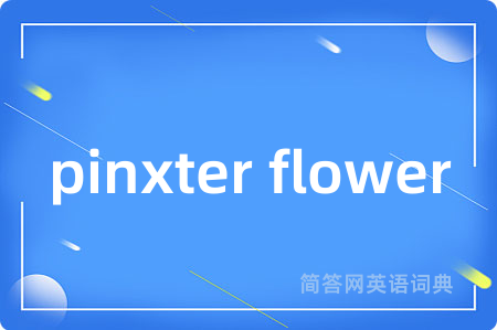 pinxter flower