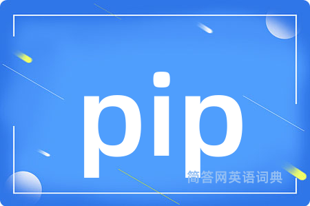 pip是什么意思,pip的中文翻译 pip