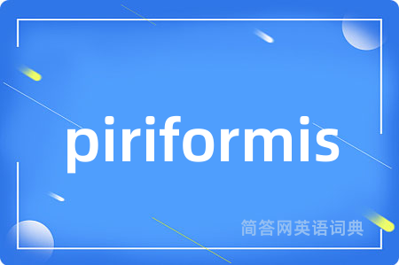 piriformis是什么意思,piriformis的中文翻译 piriformis