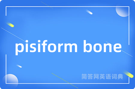 pisiform bone是什么意思,pisiform bone的中文翻译 pisiform bone