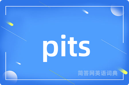 pits是什么意思,pits的中文翻译 pits