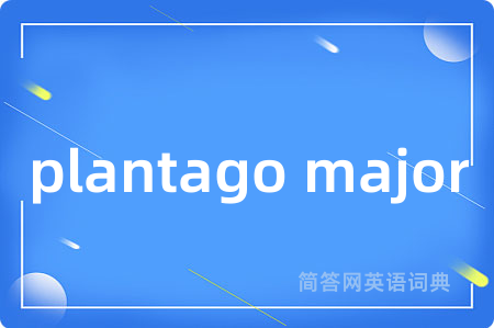 plantago major是什么意思,plantago major的中文翻译 plantago major