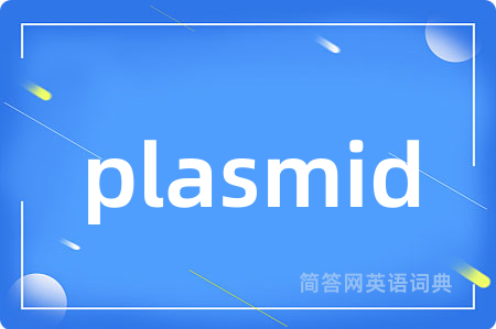 plasmid